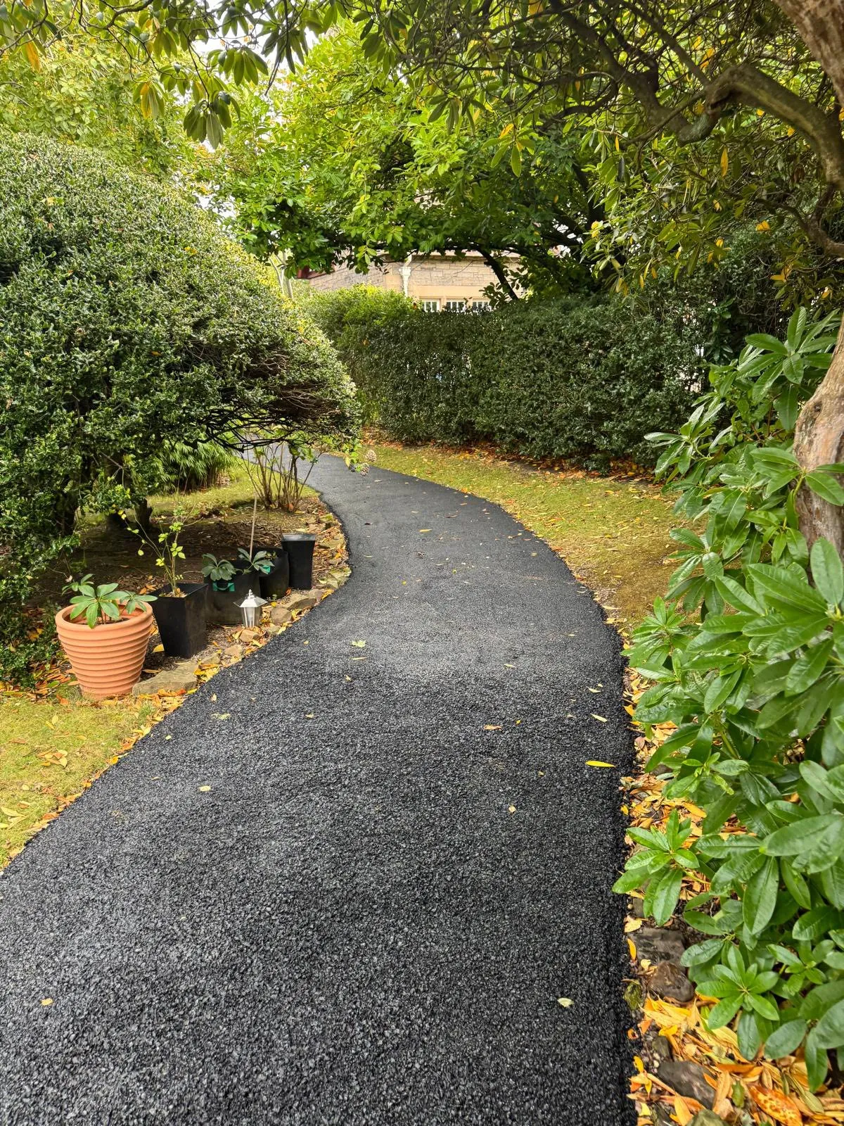 Curved tarmac garden path laid between mature hedges